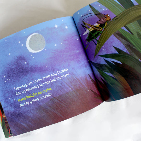 Tagu Taguan: A Counting Book in Tagalog