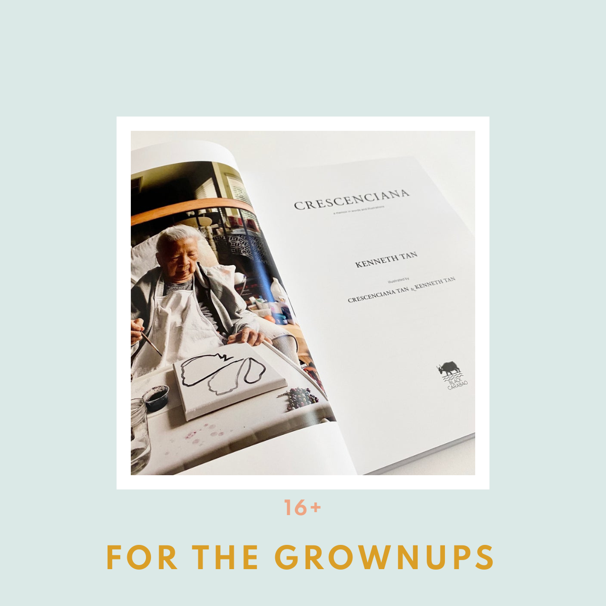 For the Grownups (16+)