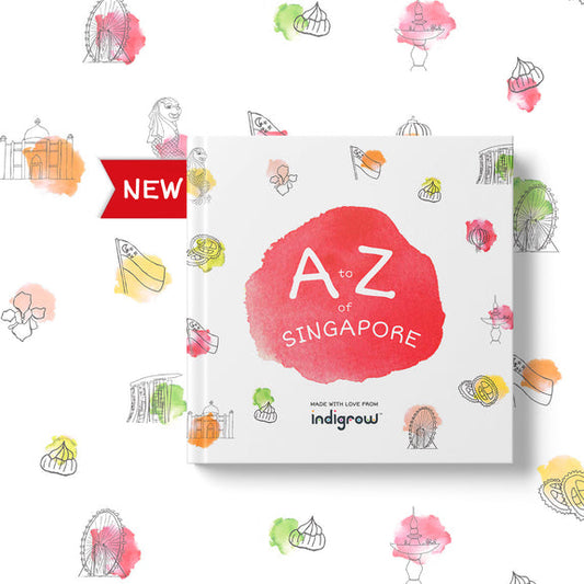 A to Z of Singapore Playbook