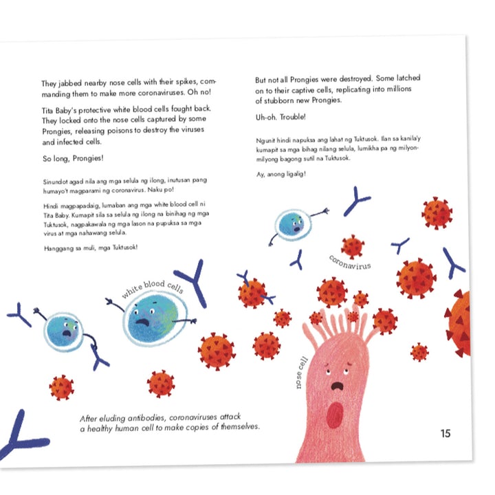 Spikeys, Prickles & Prongies: A Coronavirus Discovery Story