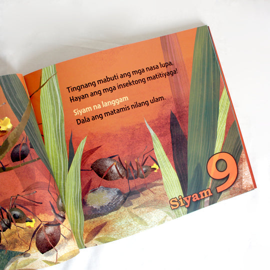 Tagu Taguan: A Counting Book in Tagalog